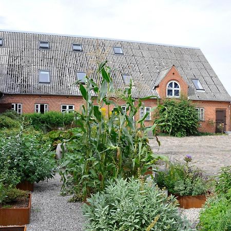 Lundsgaard Bed & Breakfast Fåborg Exteriör bild