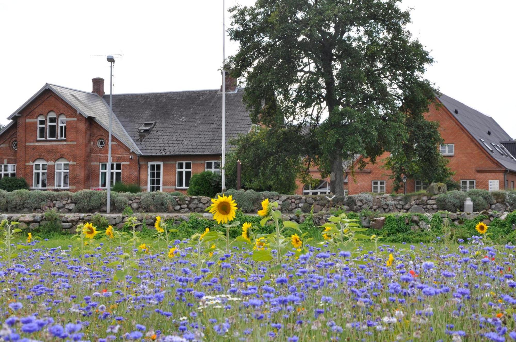 Lundsgaard Bed & Breakfast Fåborg Exteriör bild