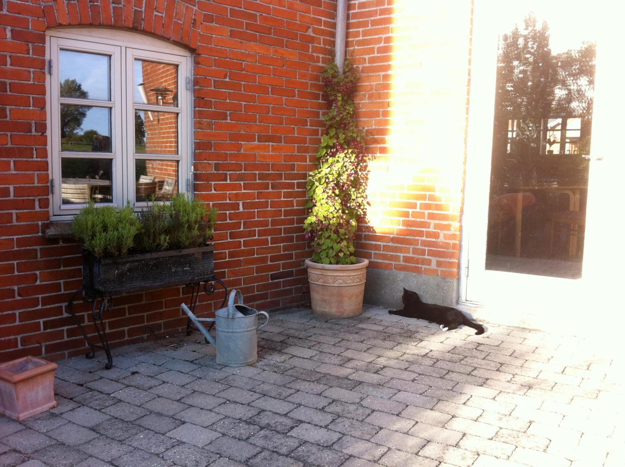 Lundsgaard Bed & Breakfast Fåborg Exteriör bild