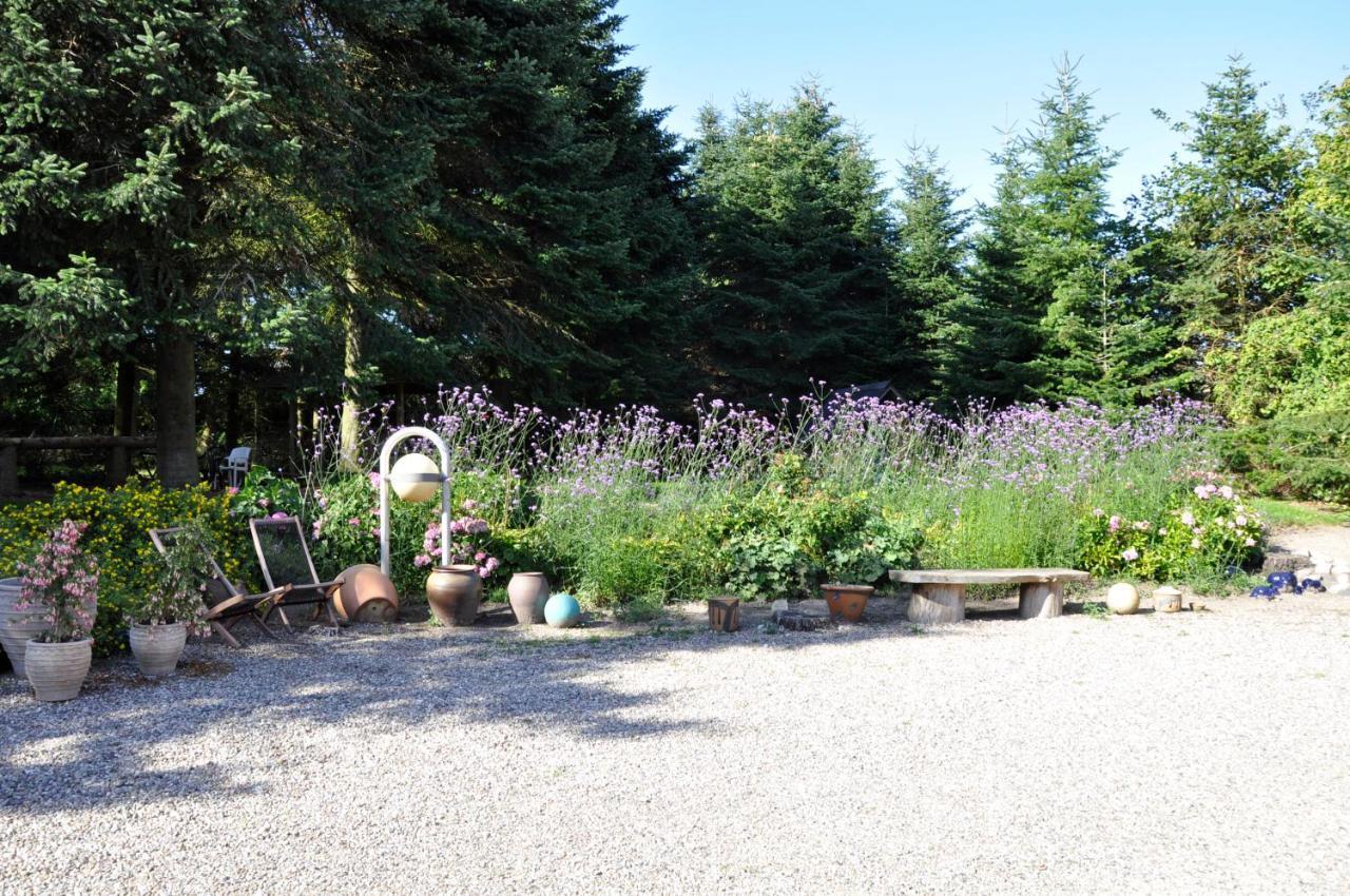 Lundsgaard Bed & Breakfast Fåborg Exteriör bild